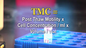 Iui Vs. Ici Frozen Sperm Vials: What Should You Order? - Youtube
