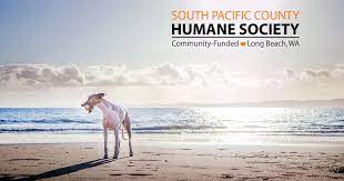 He is a big boy weighing about 89 pounds. Welcome South Pacific County Humane Society