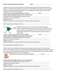 Advertisement darwins natural selection worksheet name _____ read the following situations below and identify the 5 points of darwin's natural selection. Darwin S Natural Selection Worksheet