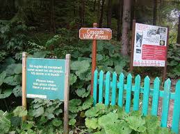 Poze de la mare sau de la munte, imagini haioase, poze amuzante, fotografii artistice sau nu, facute cu aparate foto digitale si grupate in cate un album foto online. Cascada VÄƒlul Miresei Recenzii Cluj