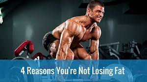 4 Reasons You're Not Losing Fat