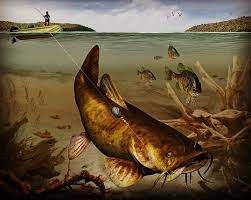 Catfish Art Fish Catfish Fishing Catfish