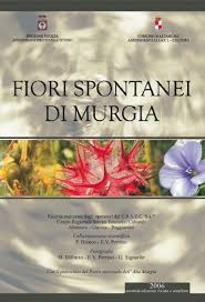 Maybe you would like to learn more about one of these? Http Www Energheia Org Wp Content Uploads 2018 05 Aa Vv Fiori Spontanei Di Murgia Pdf
