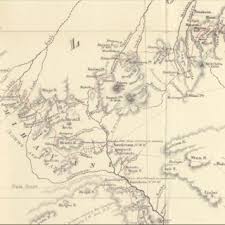 Image result for Pavetta gurueensis