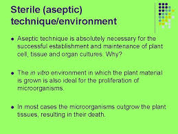Plant cells are ideal for demonstrating this concept. Laboratory And Growth Room Conditions Sterile Aseptic Techniqueenvironment