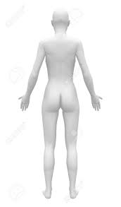 It has thousands of nerve endings — more than any other part of the human body. Blank Anatomy Female Figure Back View Stock Photo Picture And Royalty Free Image Image 28998116