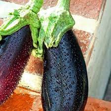 Pin On A Tomatoes And Other Vegetables