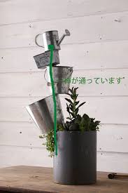海外で人気の多肉植物のタワーを100均のブリキのポットでdiy 窪田千紘フォトスタイリングwebマガジン klastyling 暮らす スタイリング powered by ライブドアブログ 多肉植物 多肉植物のテラリウム ガーデニングのアイデア