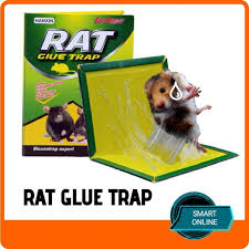 Maybe you would like to learn more about one of these? Tikus Papan Pelekat Gam Perangkap Tikus
