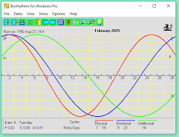 Biorhythms For Windows