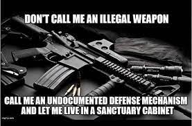 Pin On Gun Control Humor