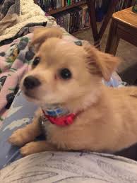 Pin On Fffft Awwwwww