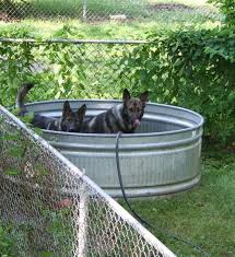 Galvanized Stainless Steel Tub For A Pool Puppy Pool Galvanized Stock Tank Stock Tank Pool