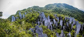 The gunung mulu national park is a national park in miri division, sarawak, malaysia. Pinnacles In Gunung Mulu National Park Borneo Malaysia Stock Photo Picture And Royalty Free Image Image 154189804
