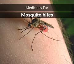 It can be rubbed onto the skin as a substitute for medication. List Of 13 Best Medicines For Mosquito Bites Composition Dosage Popularity More