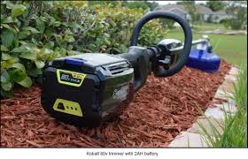 Weeds can give any homeowner or gardener a headache. Is It Time To Ditch That Loud Polluting Hard To Start Smelly Obnoxious Gas Powered Weed Whacker Cleantechnica