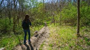Red rocks trail is 0.5 mi; Settlers Cabin Park An Easy Hike To A Mini Waterfall