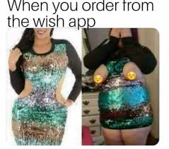 Pin By Jennifer Miller On Memes Wish App Online Shopping Fails Funny Meme Pictures