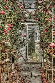 Old Richmond Greenhouses Captured In Photos In 2020 Grow Lights For Plants Greenhouse Growing Plants Indoors