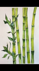 Bamboo Drawing Painting Nature Art Prints Bamboo Art Bamboo Drawing