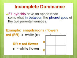 From these results, how do you think tail length in these cats are inherited? Difference Between Dominance Codominance And Incomplete Dominance With One Example Each