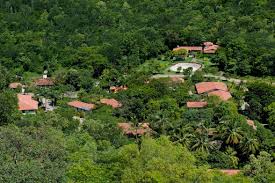 Perfil oficial do instituto terra. Instituto Terra Aimores Minas Gerais Brazil Google Arts Culture