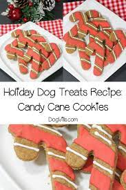 Hypoallergenic Dog Treats Holiday Dog Treat Candy Canes Recipe Healthy Dog Treats Homemade Dog Treats Homemade Recipes Christmas Dog Treats