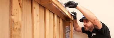 Get rid of bed bugs with professional services: How To Do A Proper Bed Bug Inspection Signs Of Bed Bugs