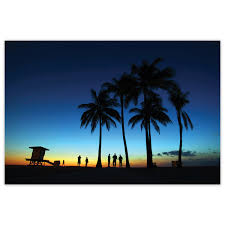 Many people have visited a tropical location and seen a beautiful garden that was loaded with palm trees and other tropical plants. Sunrise Sunset Beach Palm Trees Shop The Sun Sentinel Official Store