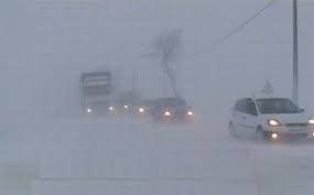 We did not find results for: 25 De Grade Celsius Minima DimineÈii Ger De CrapÄ Pietrele Èi In Banat