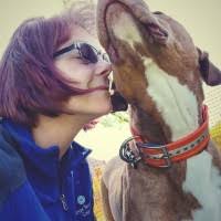 7 "Abby Runion" profiles