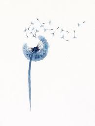 Psycho energetische therapie te vinden in zelhem. 26 Ideeen Over Paardenbloem Tekening Paardenbloem Tekening Paardenbloem Bloemen Tekenen