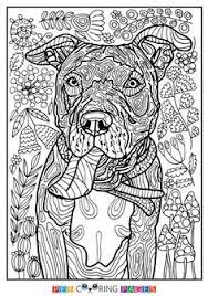 I love pit bulls but we have cats. Mandala Pitbull Coloring Pages Thebigbingbangboom