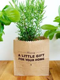 These are the best indoor plants for. The Best Plants For Housewarming Gifts The Joy Of Plants