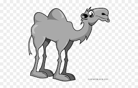 Gograph has the graphic or image that you need for as little as 5 dollars. Camel Animal Free Black White Clipart Images Clipartblack Clip Art Camel Free Transparent Png Clipart Images Download