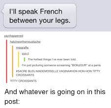 I Ll Speak French Between Your Legs Zaynhappened Hatchworthsmoustache Missiraffe Cvn T The Hottest Things I Ve Ever Been Told I M Just Picturing Someone Screaming Bonjour At A Penis Sacre Bleu Mademoiselle Vagina Hon Hon Hon