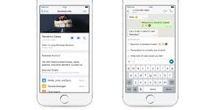 Whatsapp Business App For Ios Begins Worldwide Rollout The Verge How do i screenshot a what`s app conversation on the iphone 5.