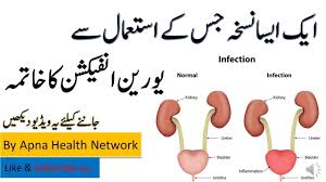 Home Remedies For Urine Infection Urinary Tract Infection In Urdu Urinary Tract Infections Urinary Tract Infection