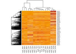 Image result for bioinformatics heatmap