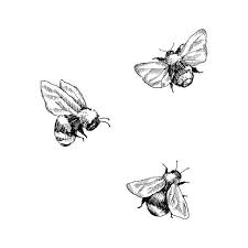 Bee Illustrations Royalty Free Vector Graphics Clip Art Tattoos Bee Illustration Bee Tattoo