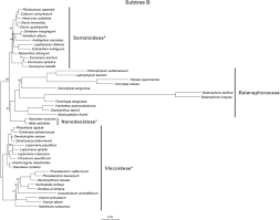 Image result for Spragueanella