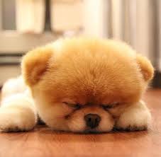 pin on moving company studio