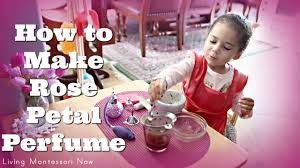First, place a cheesecloth over a bowl, place your flowers on the cloth, and submerge them in water. Fabulous Practical Life How To Make Rose Petal Perfume Montessori Monday Living Montessori Now