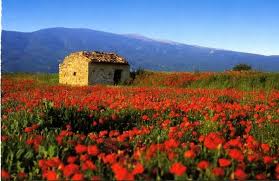 Epingle Par Laura Sur Paysages Coquelicots Paysage Cabanon