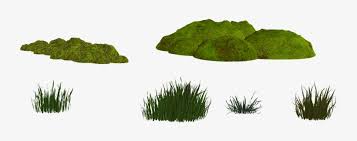 The gif format has many uses and is still widely used but it does have some limitations. Moss Png Isolated Green Moss Png Transparent Background Png Image Transparent Png Free Download On Seekpng