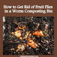 Interior of composting bin has large fruit fly population. How To Get Rid Of Fruit Flies In A Worm Compost Bin