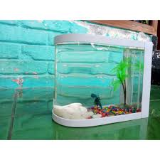 Toko di gianyar tegallalang langsung dari pabrikan. Jual Aquarium Mini Unik Akrilik Pvc Cocok Buat Cupang Dan Ikan Hias Mini Jakarta Barat Junjun Jualakuariumcupang Tokopedia