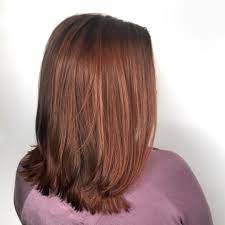 Hair Color For Morena 2020 17 Top Ideas You Should Try Photos Hair Color For Morena Chestnut Hair Color Hair Color For Morena Skin