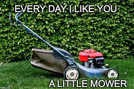 Lawn Care Memes