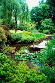 Doug S Photo Blog Backyard Water Feature Ponds Backyard Tuscan Landscaping